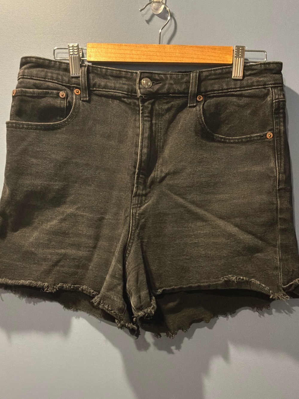 AMERICAN EAGLE OUTFITTERS Black Denim Cutoff Shorts